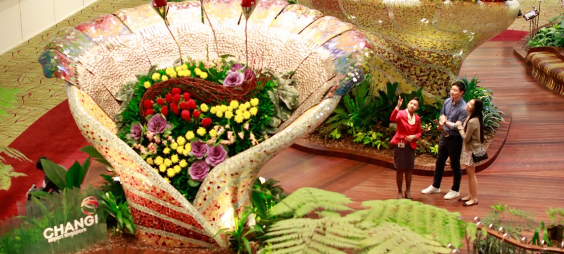 Changi Airport is home to nine themed gardens, providing havens of greenery for travellers